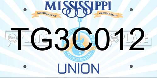 TG3C012 Mississippi License Plate