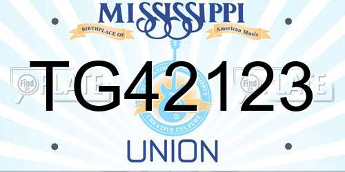 TG42123 Mississippi License Plate