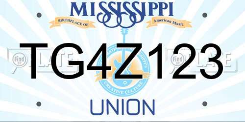 TG4Z123 Mississippi License Plate