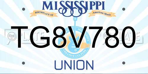 TG8V780 Mississippi License Plate