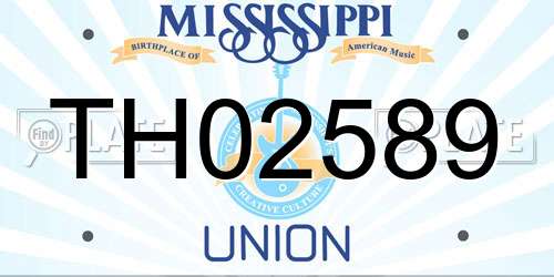 TH02589 Mississippi License Plate