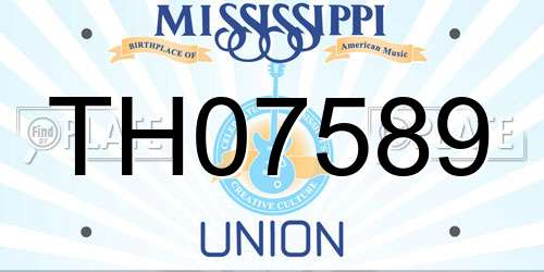 TH07589 Mississippi License Plate