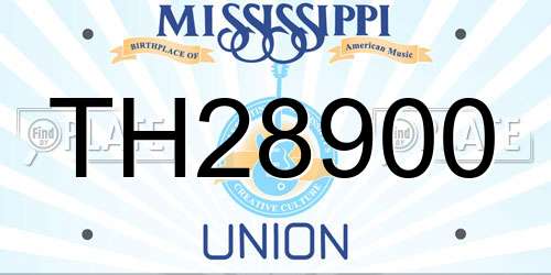 TH28900 Mississippi License Plate