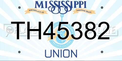 TH45382 Mississippi License Plate