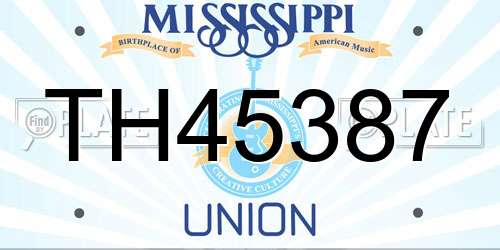 TH45387 Mississippi License Plate