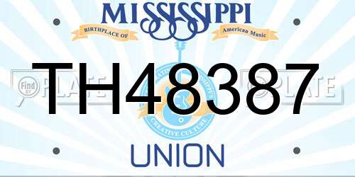 TH48387 Mississippi License Plate