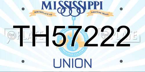 TH57222 Mississippi License Plate