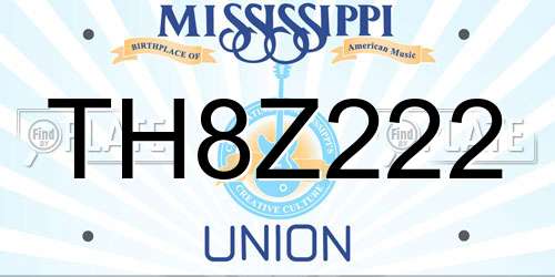 TH8Z222 Mississippi License Plate