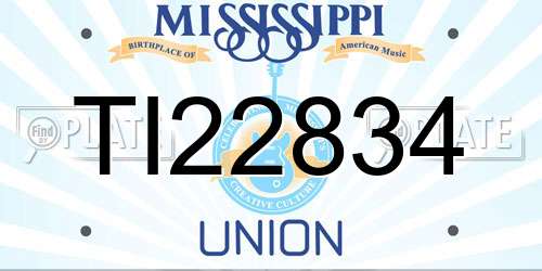 TI22834 Mississippi License Plate