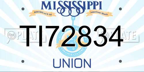 TI72834 Mississippi License Plate