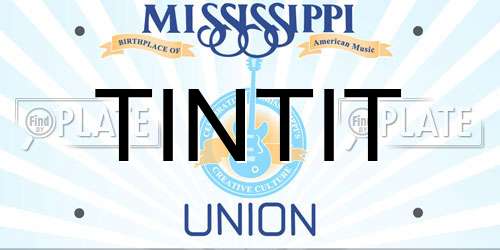 TINTIT Mississippi License Plate