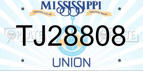 TJ28808 Mississippi License Plate