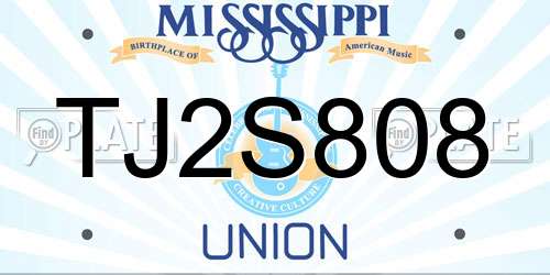 TJ2S808 Mississippi License Plate