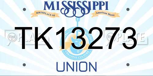 TK13273 Mississippi License Plate