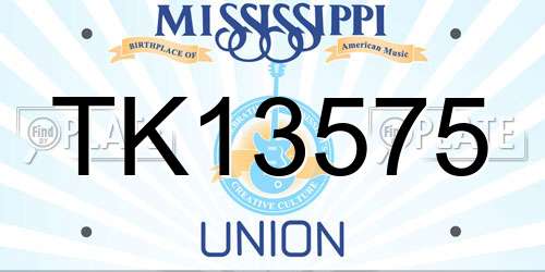 TK13575 Mississippi License Plate