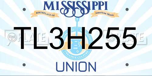 TL3H255 Mississippi License Plate