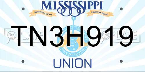 TN3H919 Mississippi License Plate