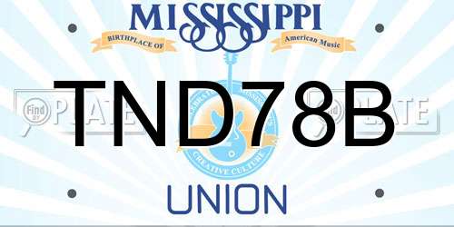 TND78B Mississippi License Plate