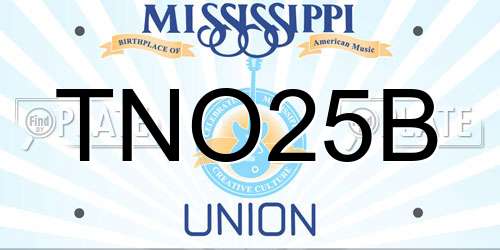 TNO25B Mississippi License Plate