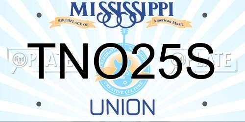 TNO25S Mississippi License Plate