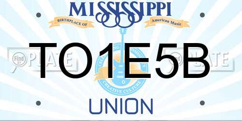 TO1E5B Mississippi License Plate