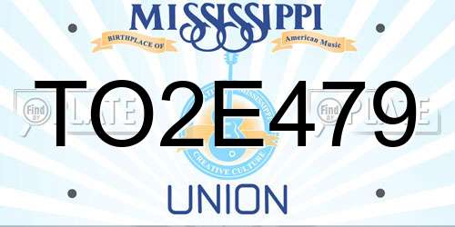 TO2E479 Mississippi License Plate