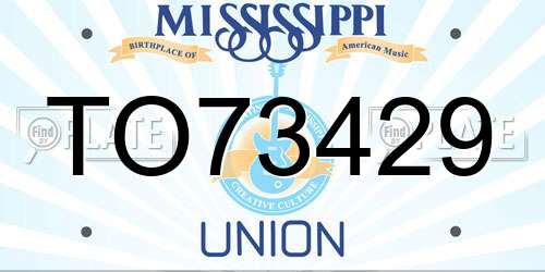 TO73429 Mississippi License Plate