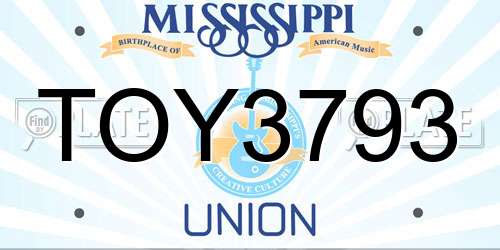 TOY3793 Mississippi License Plate