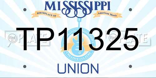 TP11325 Mississippi License Plate
