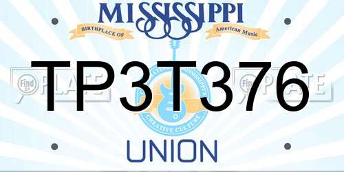 TP3T376 Mississippi License Plate