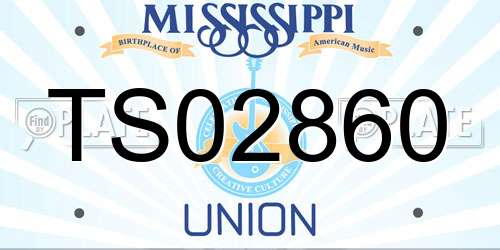 TS02860 Mississippi License Plate