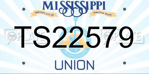 TS22579 Mississippi License Plate