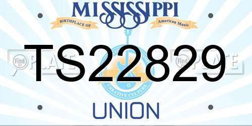 TS22829 Mississippi License Plate