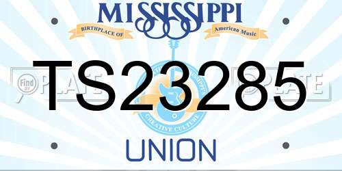 TS23285 Mississippi License Plate