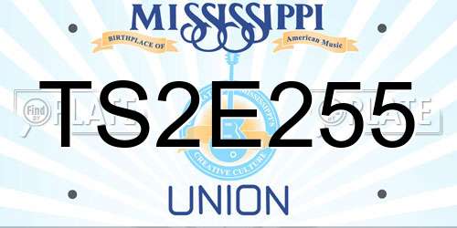 TS2E255 Mississippi License Plate