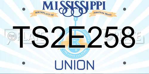 TS2E258 Mississippi License Plate
