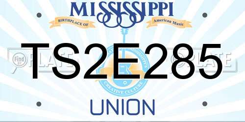 TS2E285 Mississippi License Plate