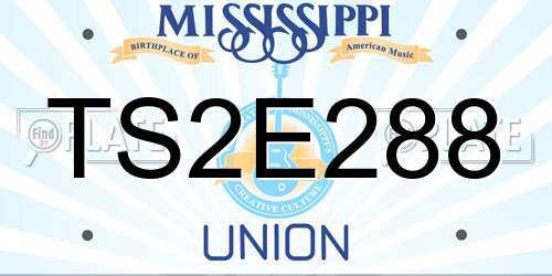 TS2E288 Mississippi License Plate
