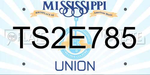TS2E785 Mississippi License Plate