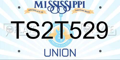 TS2T529 Mississippi License Plate
