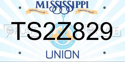 TS2Z829 Mississippi License Plate