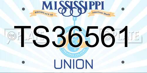 TS36561 Mississippi License Plate