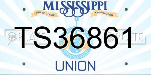 TS36861 Mississippi License Plate