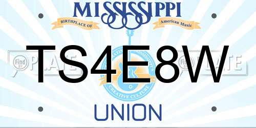 TS4E8W Mississippi License Plate
