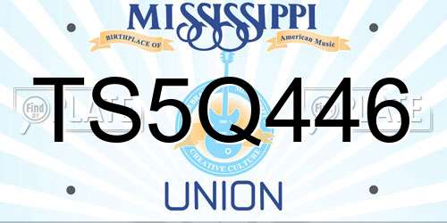 TS5Q446 Mississippi License Plate