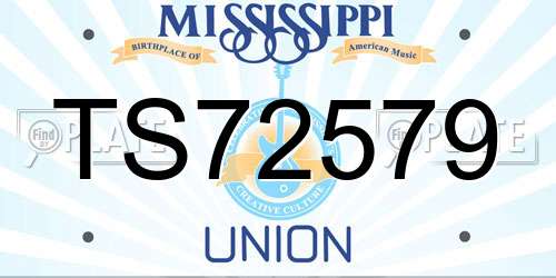 TS72579 Mississippi License Plate