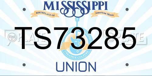 TS73285 Mississippi License Plate