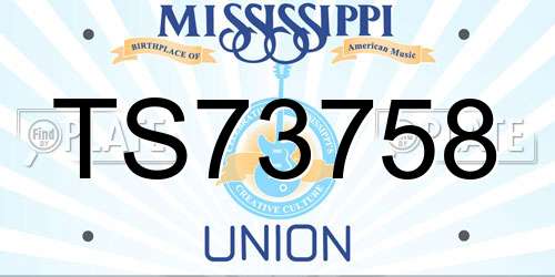 TS73758 Mississippi License Plate