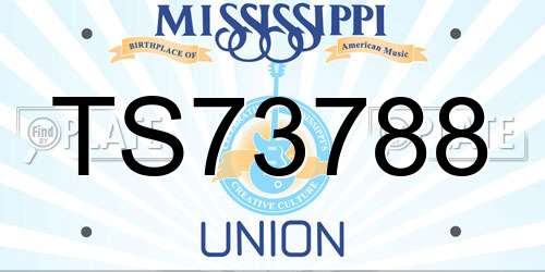 TS73788 Mississippi License Plate