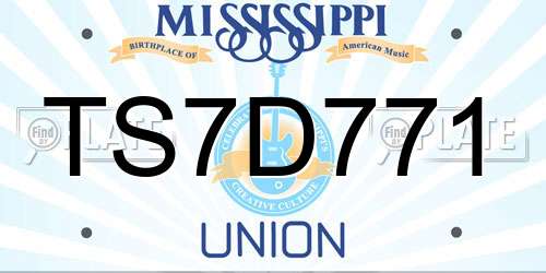 TS7D771 Mississippi License Plate